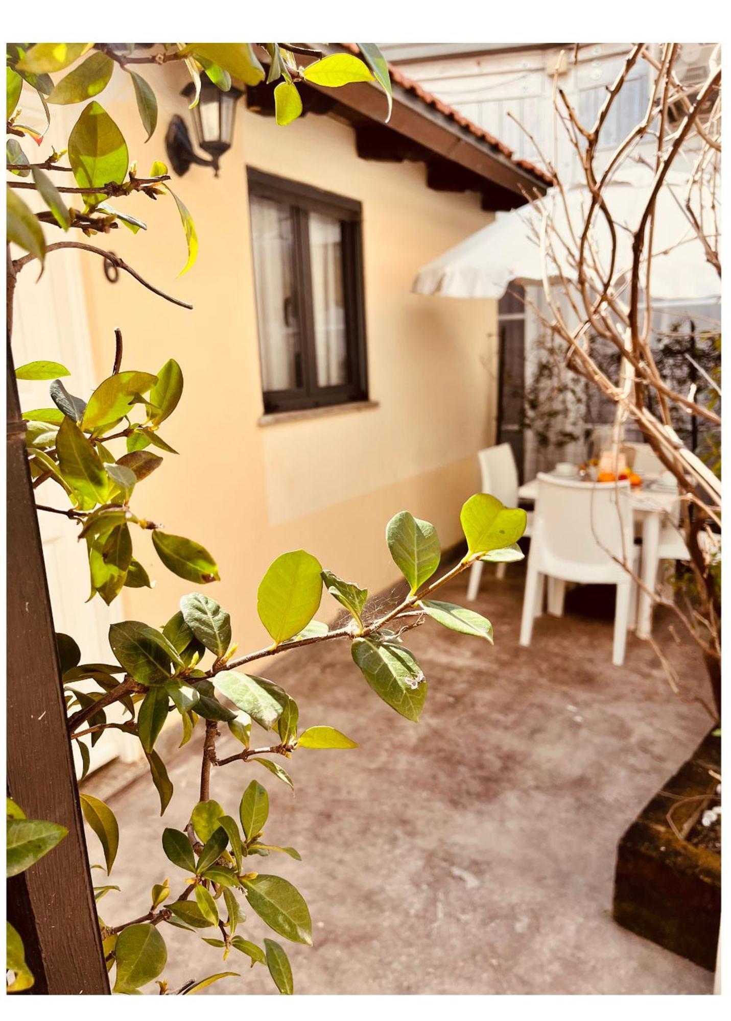 Hotel La Torraccia Таркиния Екстериор снимка